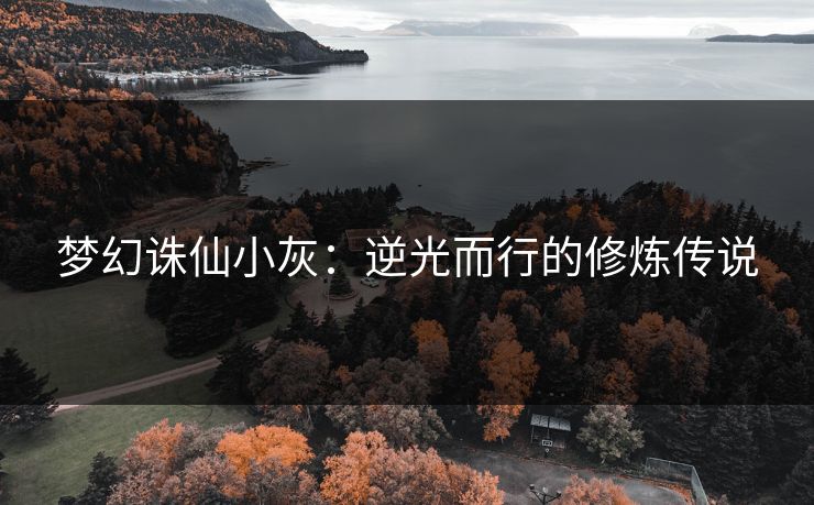 梦幻诛仙小灰：逆光而行的修炼传说