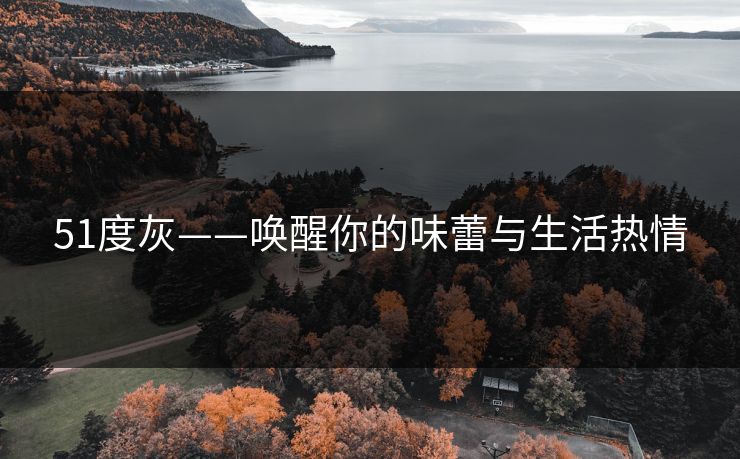 51度灰——唤醒你的味蕾与生活热情