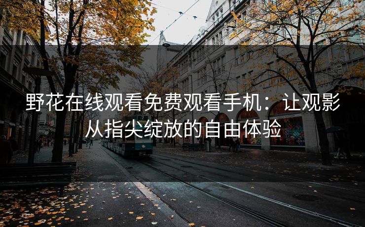 野花在线观看免费观看手机：让观影从指尖绽放的自由体验