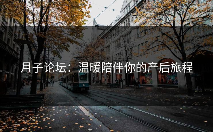 月子论坛：温暖陪伴你的产后旅程
